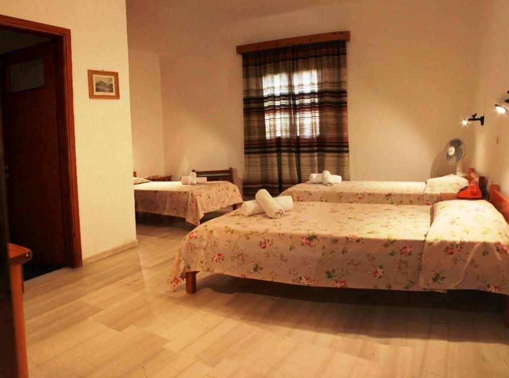 Violetta Chora Quarto foto